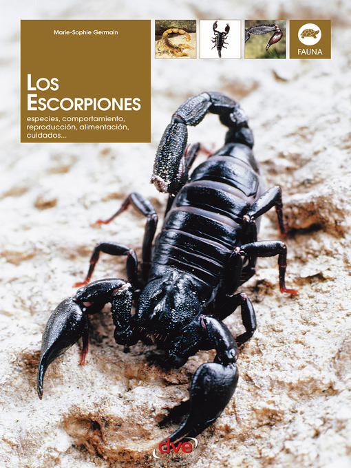 Title details for Los escorpiones by Marie-Sophie Germain - Available